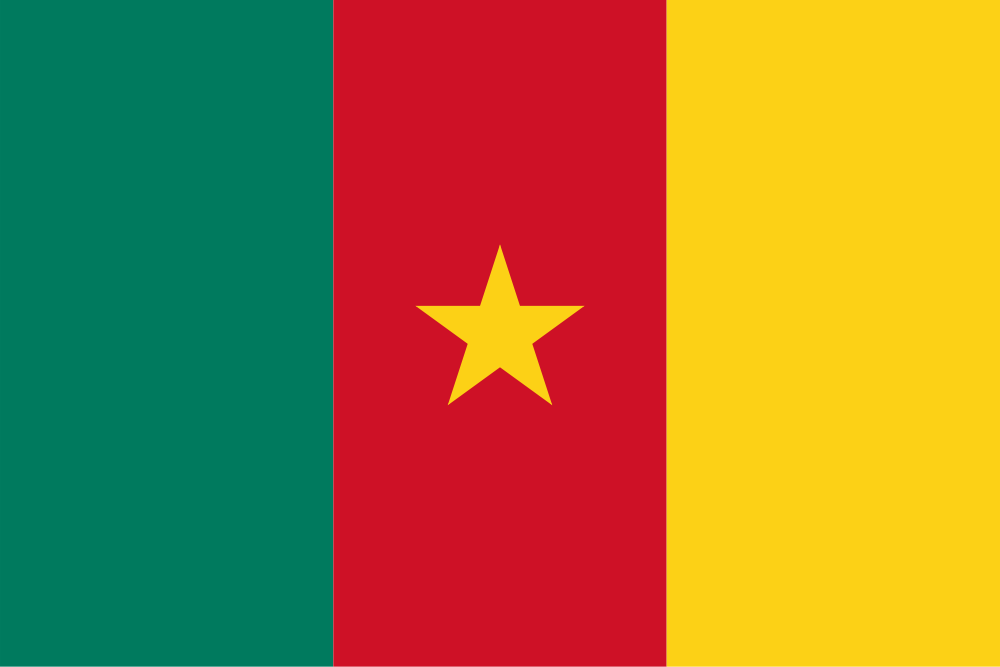 AfricPay - Application de transfert d'argent vers l'Afrique - Disponible au Cameroun